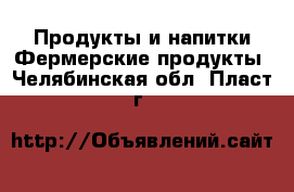 Продукты и напитки Фермерские продукты. Челябинская обл.,Пласт г.